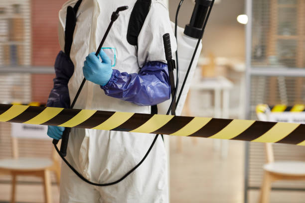 Professional Sewage Cleanup technician working in Creighton, NE